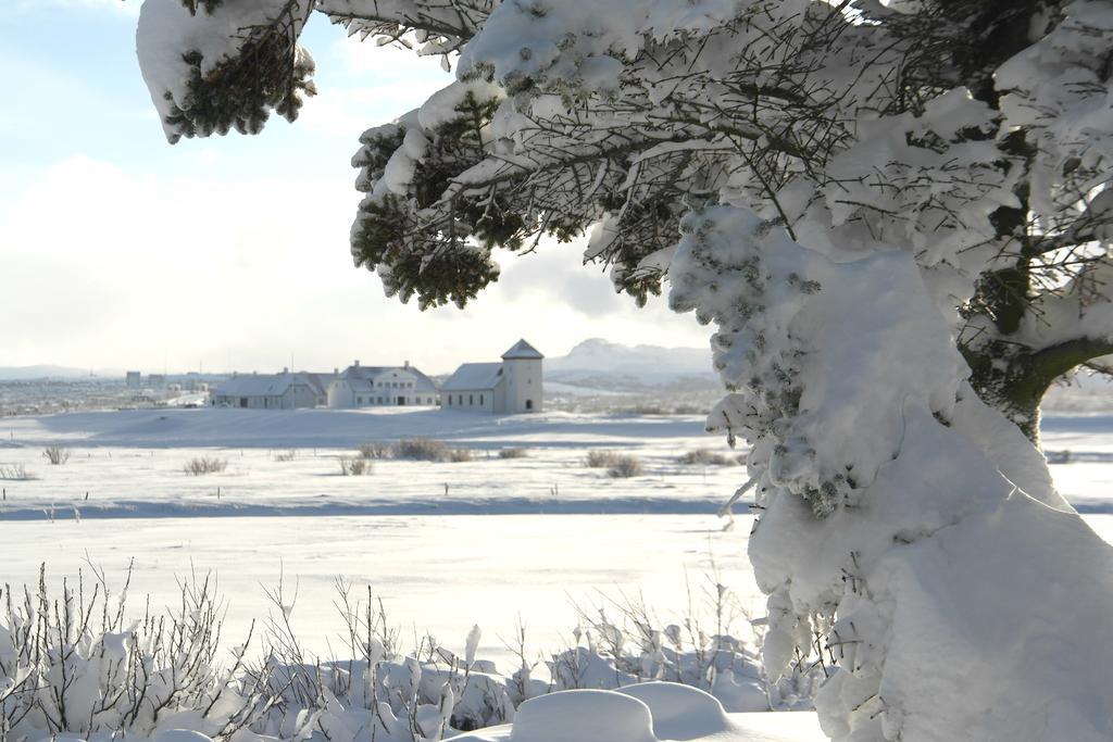 Eyvindarholt Guesthouse Álftanes Екстериор снимка